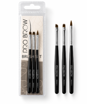 Set of 3 brushes